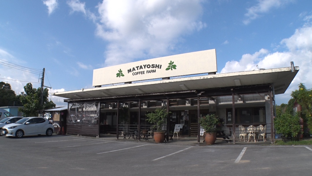 #10 収穫から焙煎まで体験して飲める！又吉コーヒー園をご紹介!!