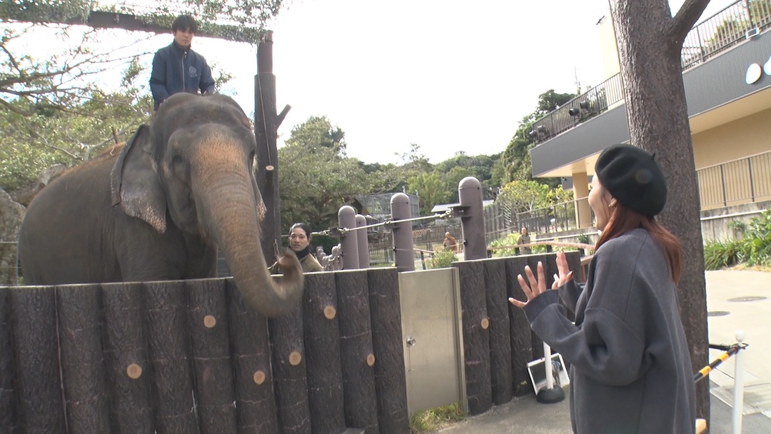 #11 子どもも大人も楽しめる動物園「沖縄こどもの国」をご紹介!!